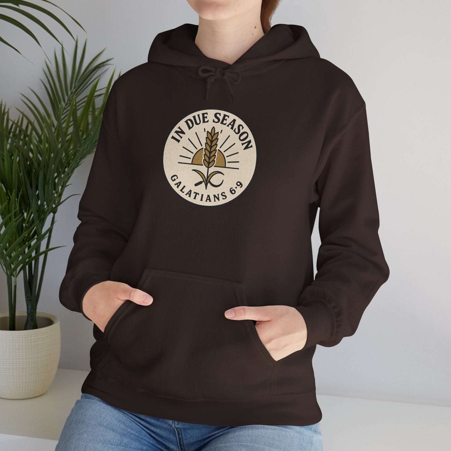 In Due Season - Galatians 6:9 Hoodie