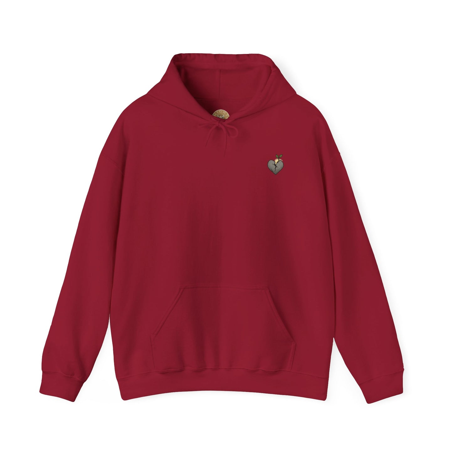 A New Heart - Ezekiel 36:26 Hooded Sweatshirt