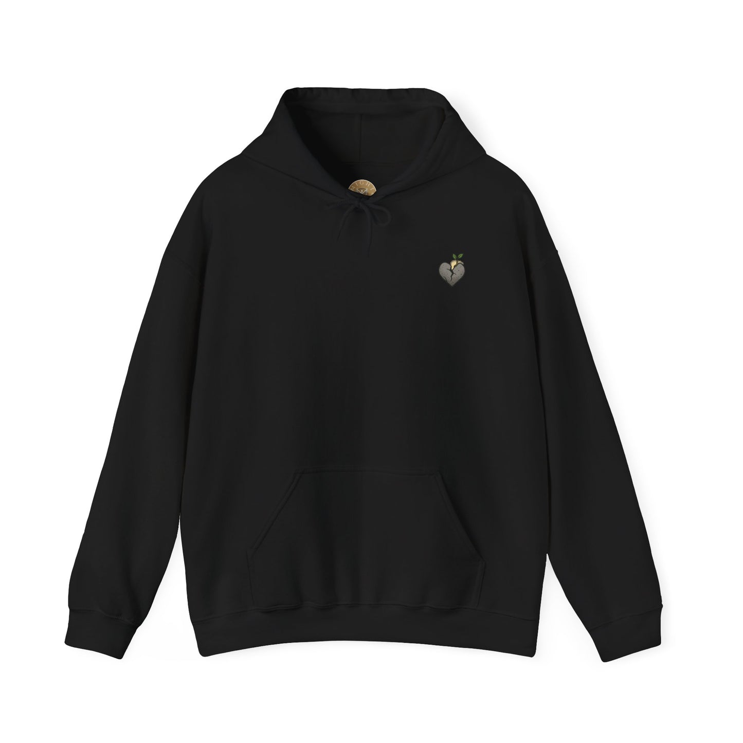 A New Heart - Ezekiel 36:26 Hooded Sweatshirt
