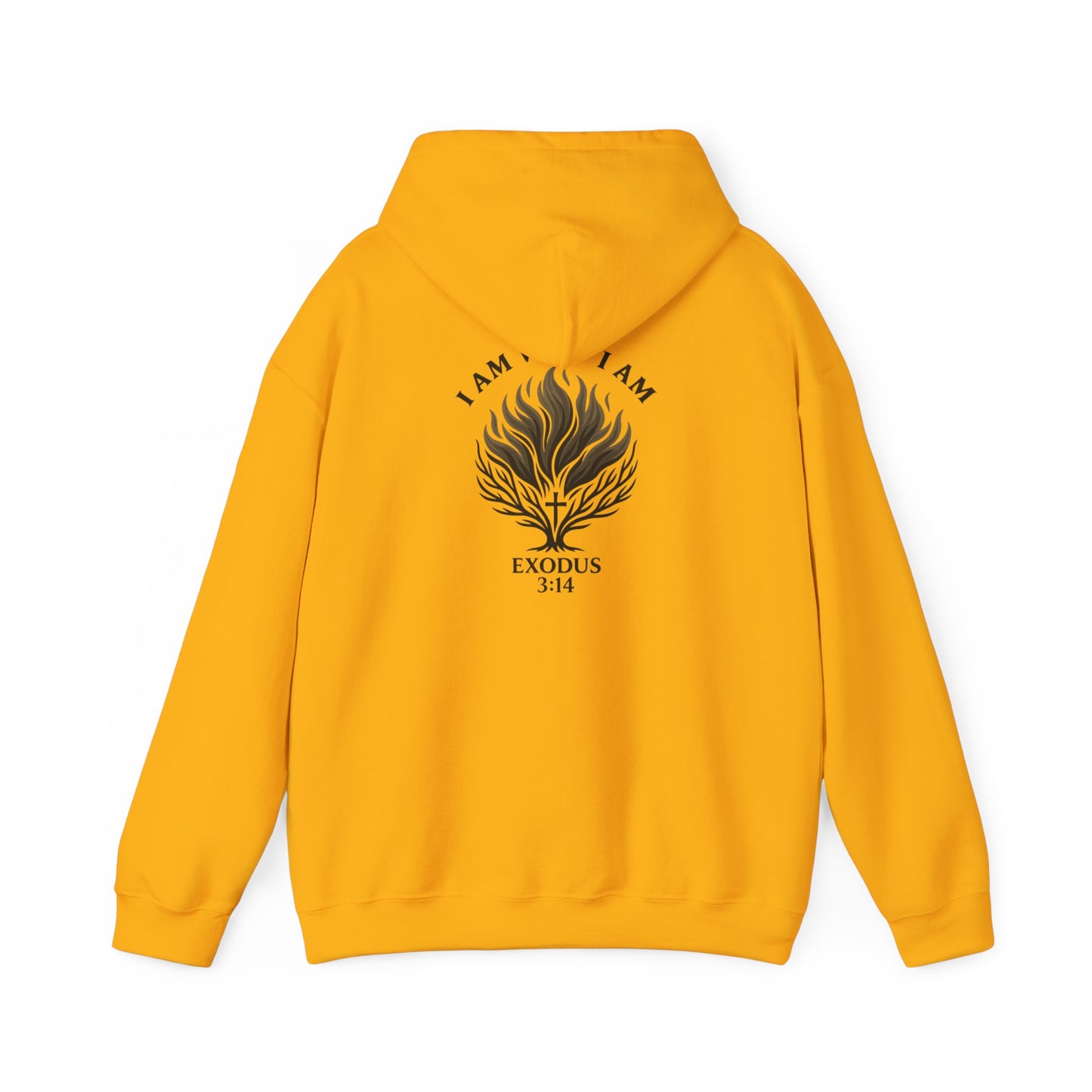 Exodus 3:14 Hooded Sweatshirt