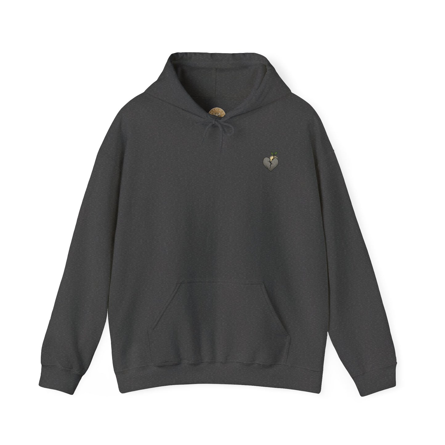 A New Heart - Ezekiel 36:26 Hooded Sweatshirt