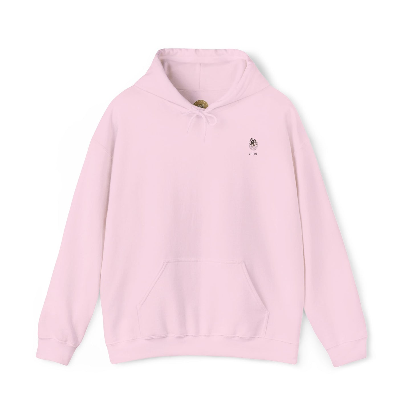 Exodus 3:14 Hooded Sweatshirt