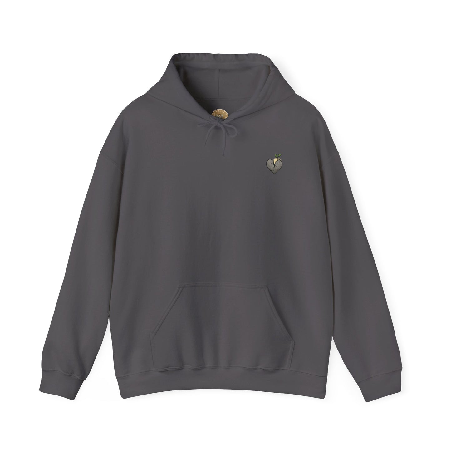 A New Heart - Ezekiel 36:26 Hooded Sweatshirt