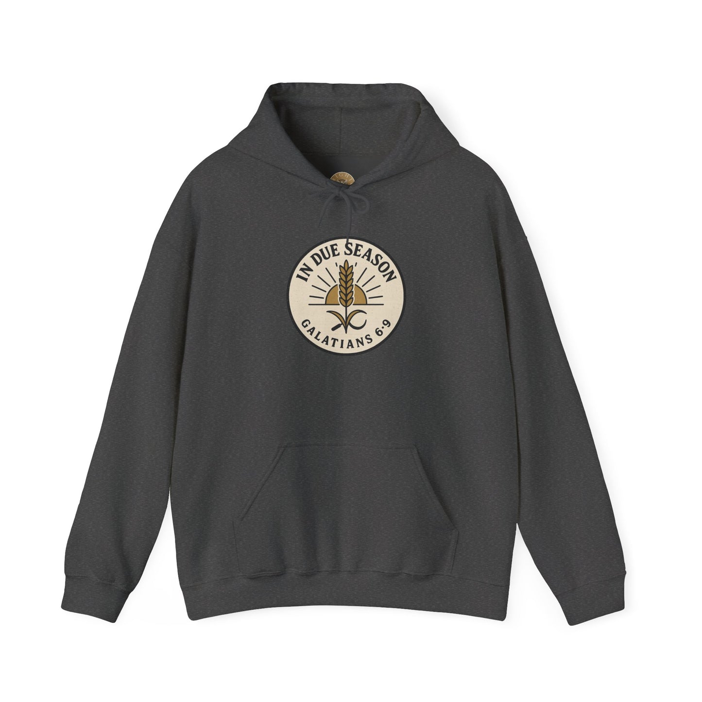 In Due Season - Galatians 6:9 Hoodie