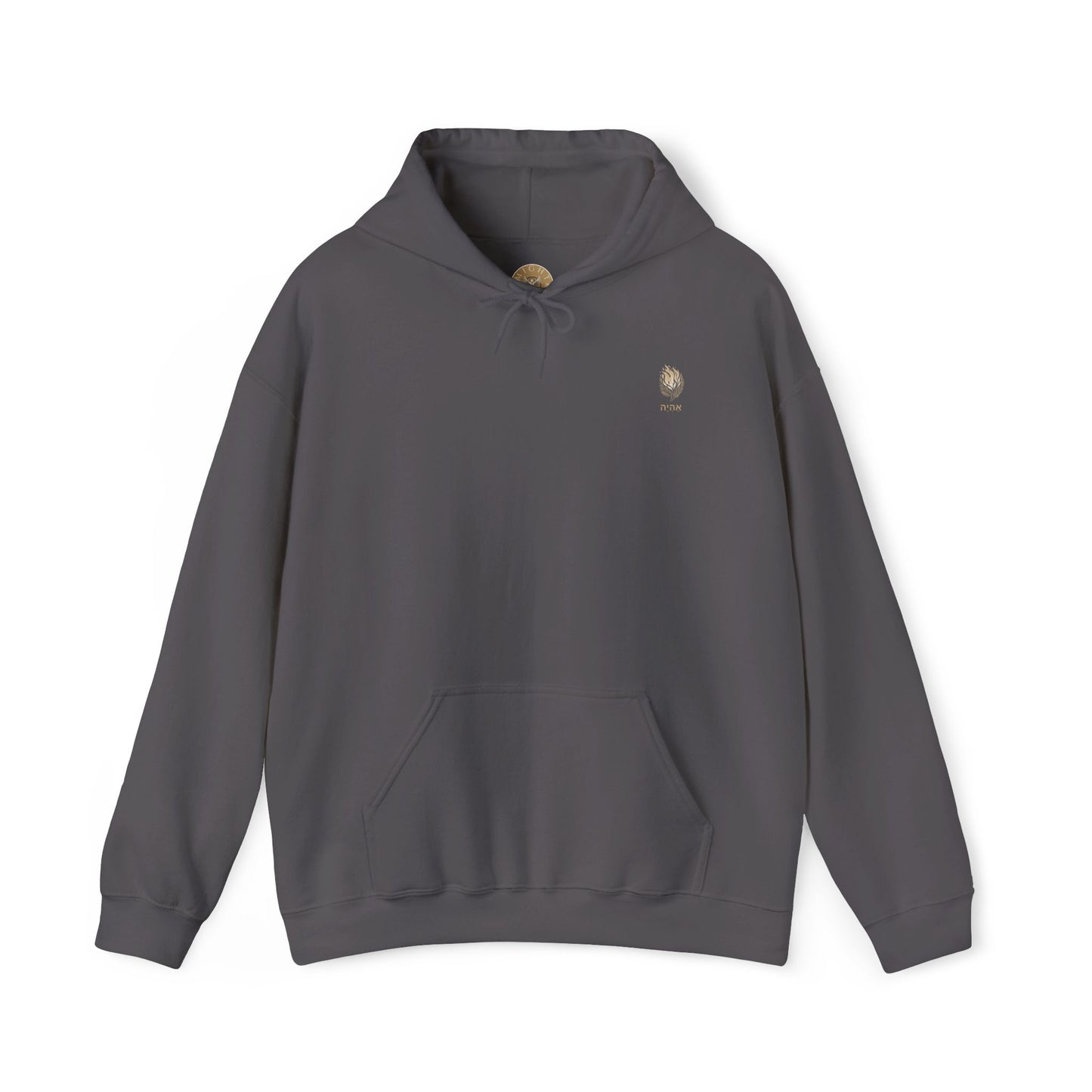 Exodus 3:14 Hooded Sweatshirt