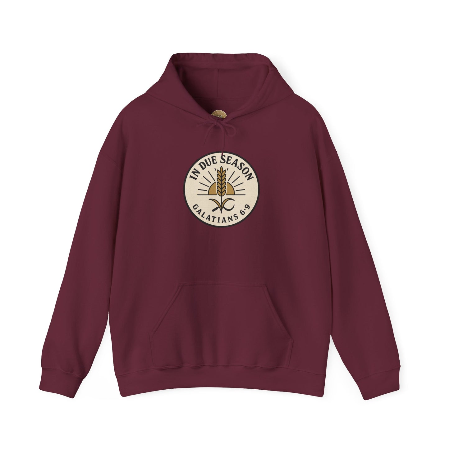 In Due Season - Galatians 6:9 Hoodie