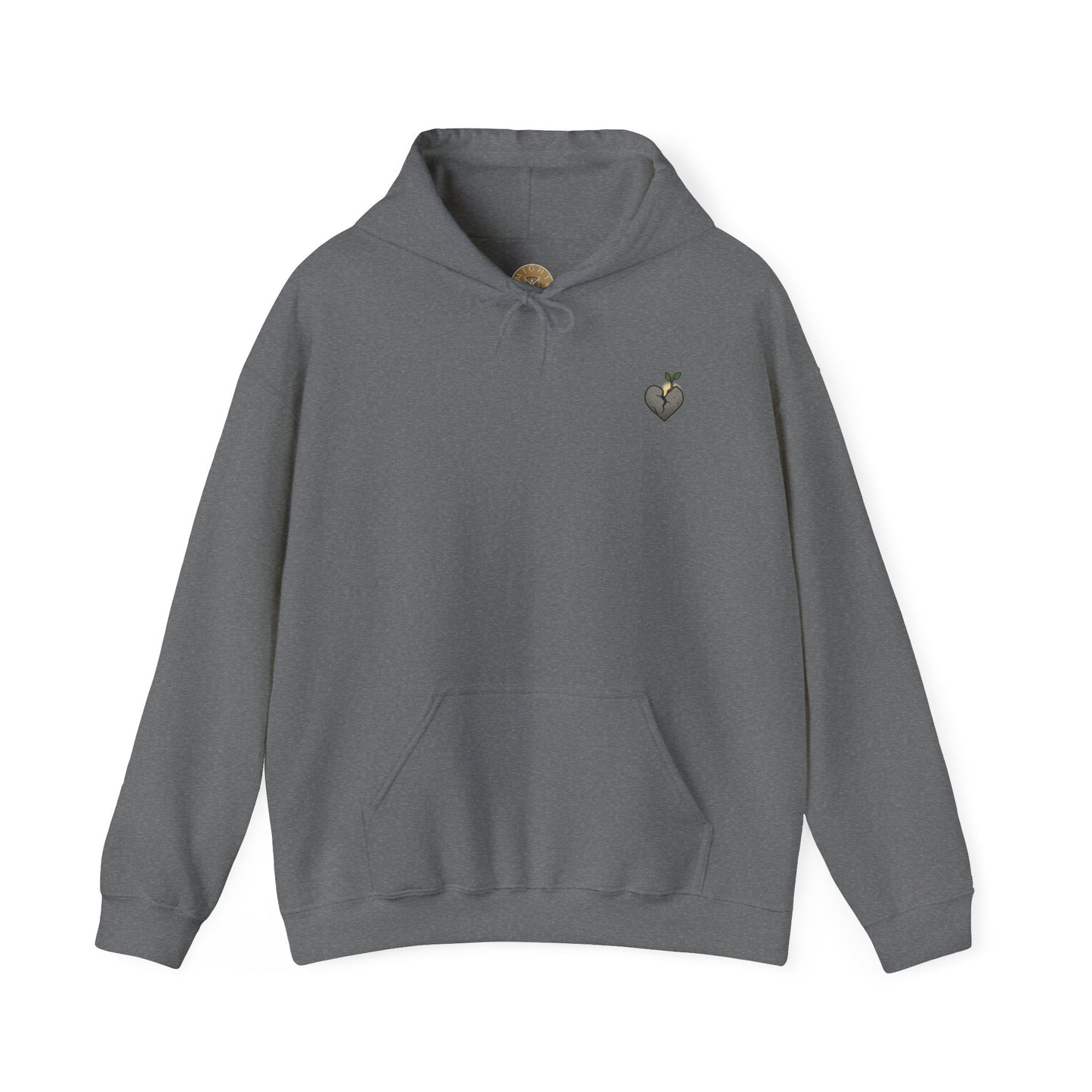 A New Heart - Ezekiel 36:26 Hooded Sweatshirt