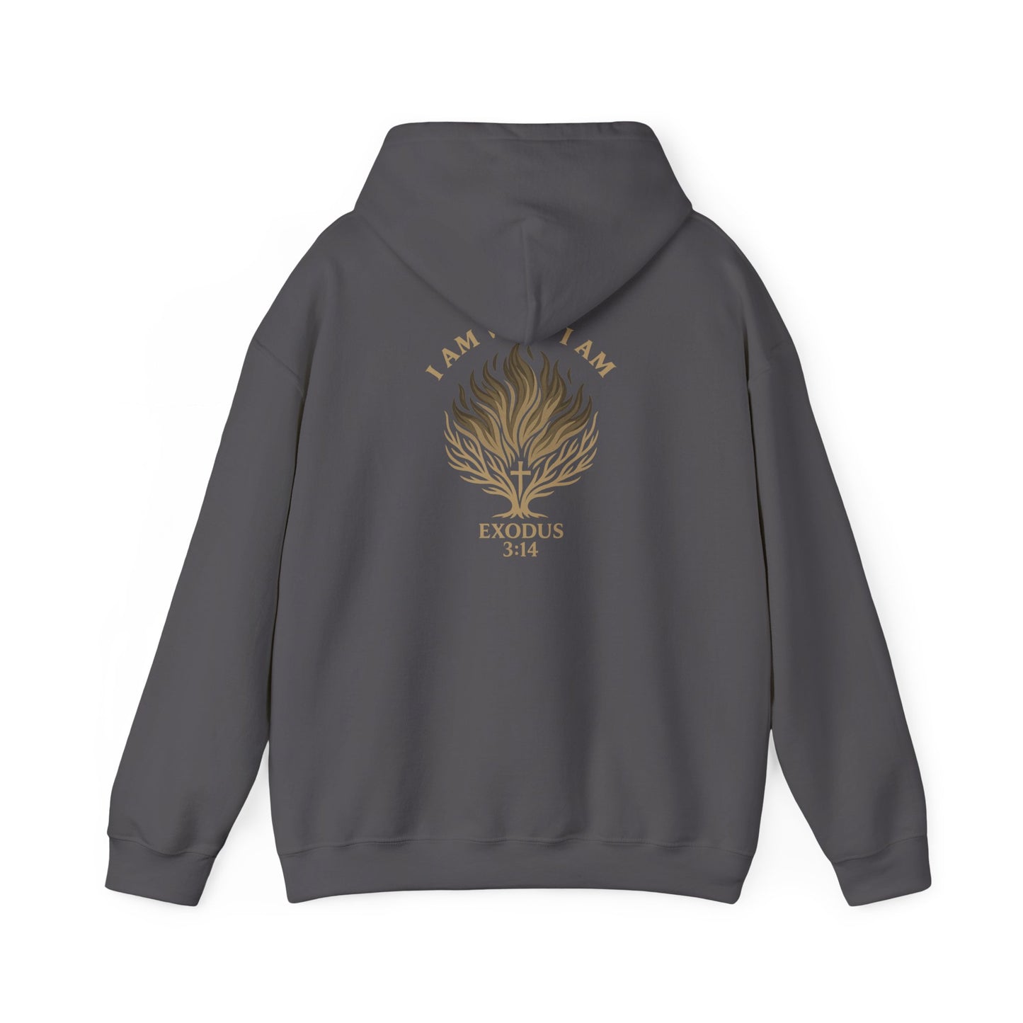 Exodus 3:14 Hooded Sweatshirt