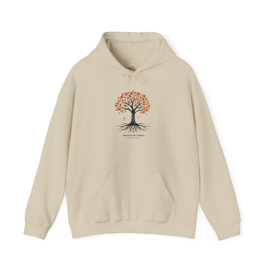 Rooted In Christ – Colossians 2:7 Christian Fall Hoodie